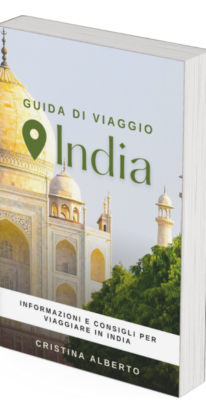 Guida di Viaggio india